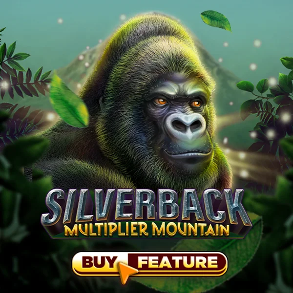 Silverback Multiplier Mountain - HASIANBET168