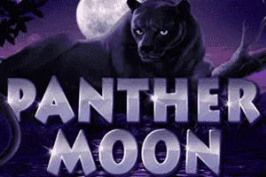 Panther Moon - HASIANBET168