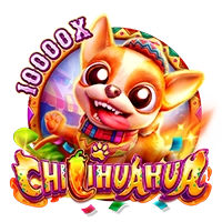 Facai : CHILIHUAHUA - HASIANBET168