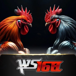 Ws168 Sabung - HASIANBET168