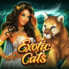 Exotic Cats - HASIANBET168