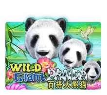Joker123 : Wild Giant Panda - HASIANBET168
