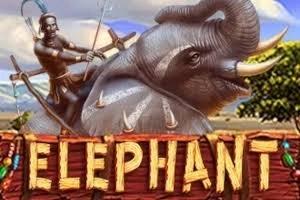 PLAYSTAR : ELEPHANT - HASIANBET168