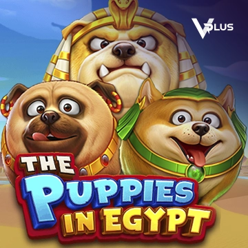 The Puppies In Egypt - HASIANBET168