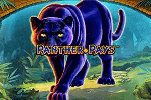 Panther Pays - HASIANBET168
