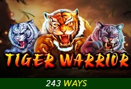 Spadegaming : Tiger Warrior - HASIANBET168