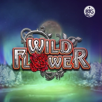 Bigtime : Wild Flower - HASIANBET168