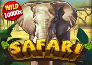 AFB : Safari - HASIANBET168