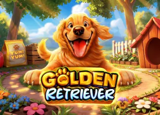 Golden Retriever - HASIANBET168