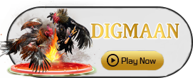 Digman - HASIANBET168