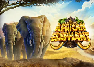 Pragmatic : African Elephant - HASIANBET168